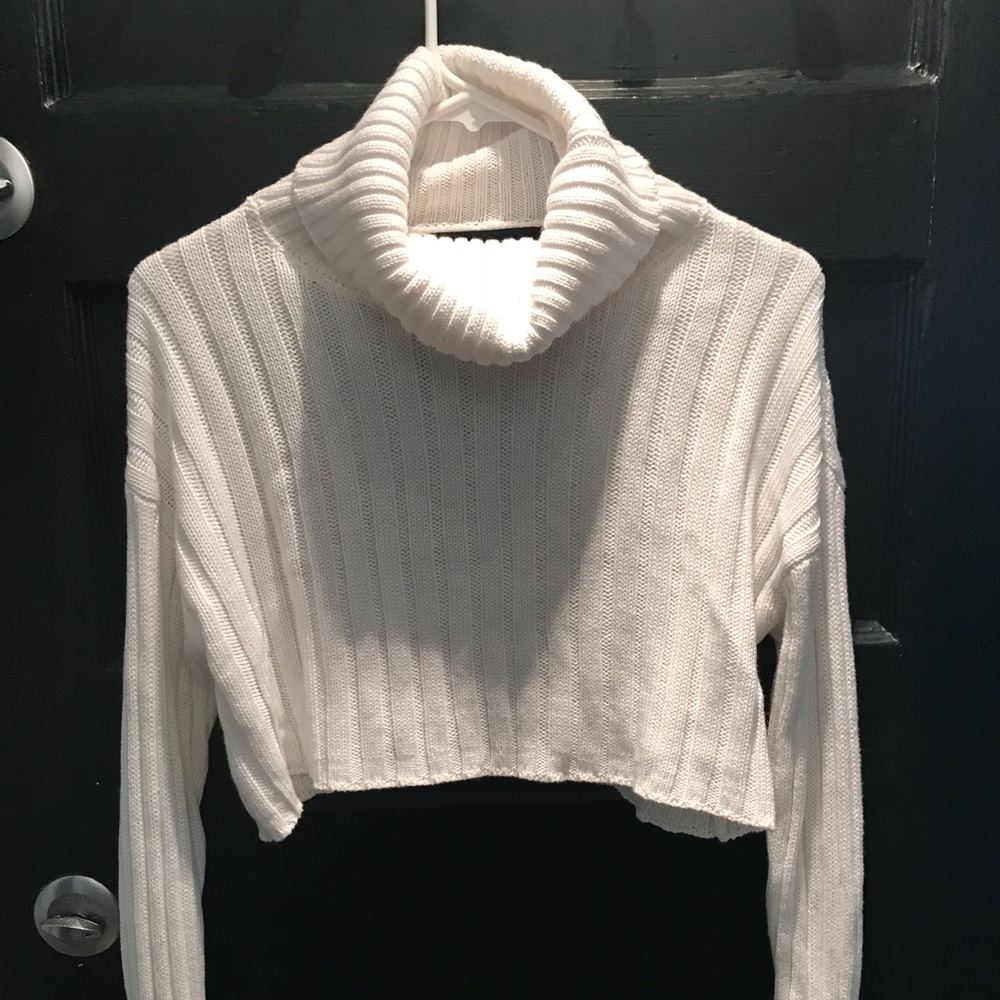 Crop top/turtleneck sweater